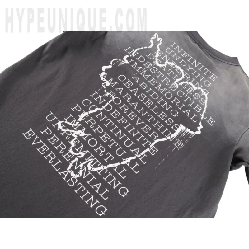 Printed graphic on the back of the garment