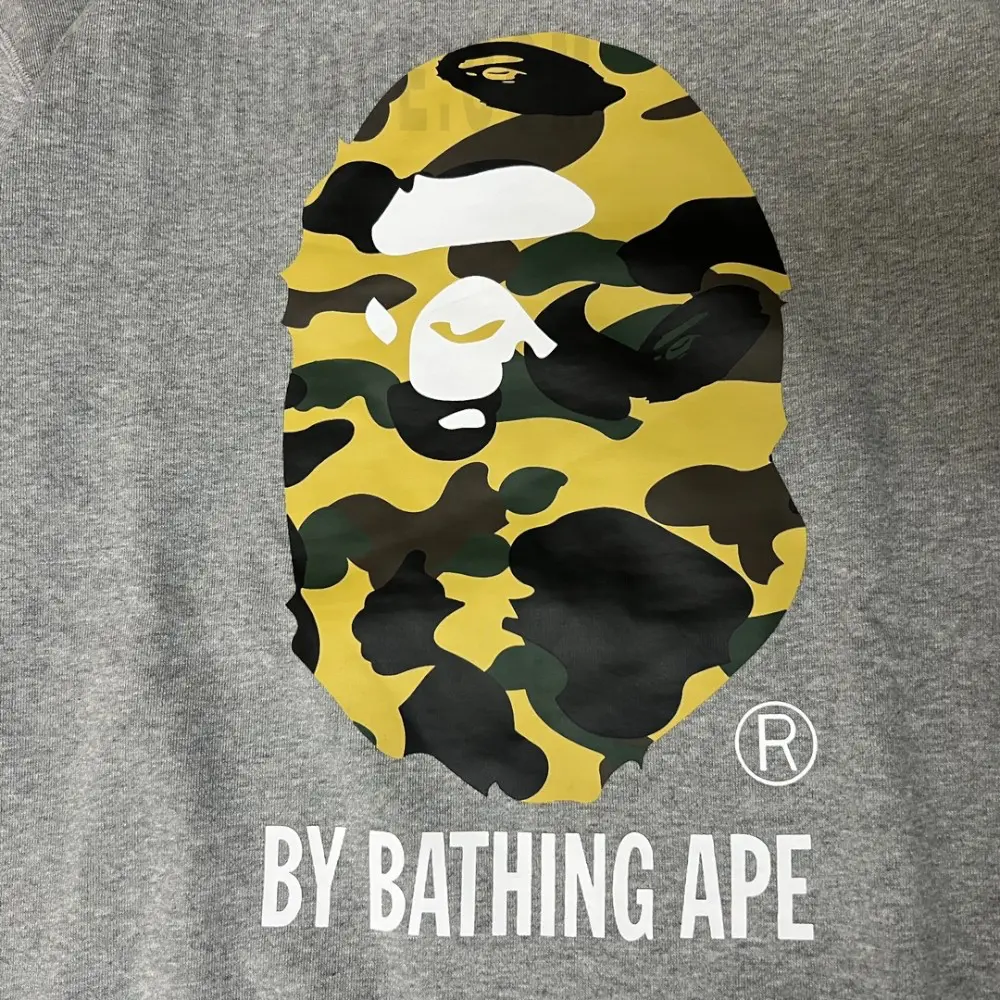Printed graphic on the front of the garment