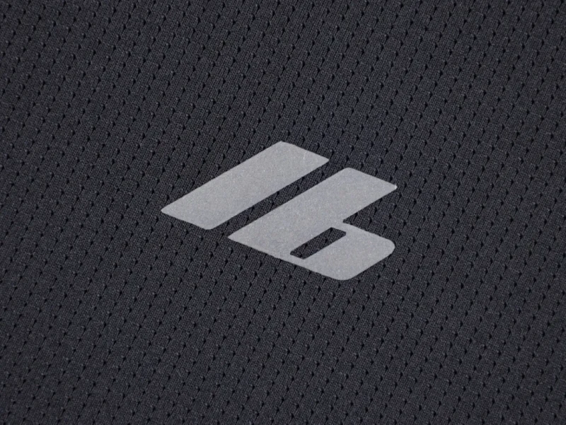 Logo Ib