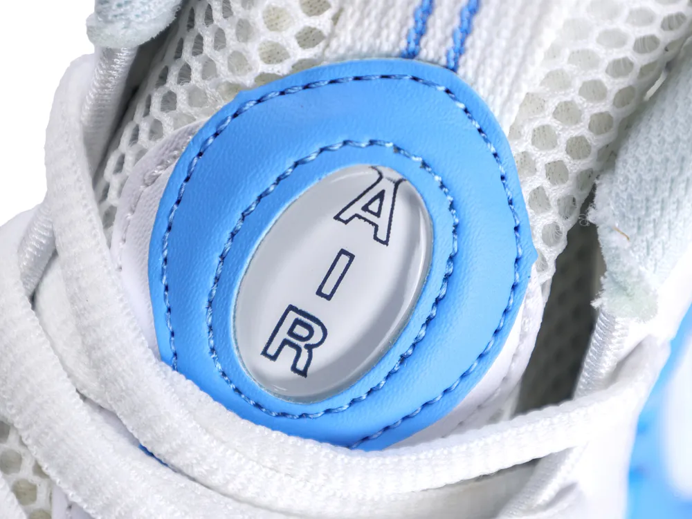 Close-up of a sneaker with blue leather, white mesh, and "AIR" detail.