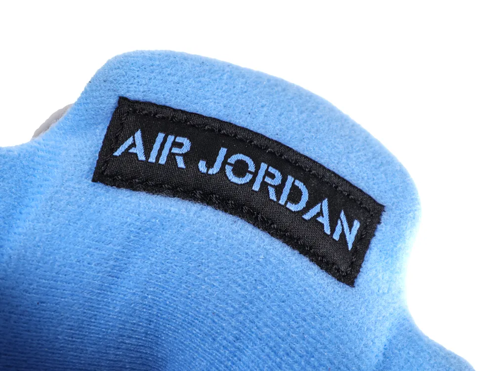 Close-up of a light blue suede sneaker with a black "Air Jordan" logo label.