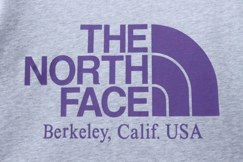 Logo The North Face