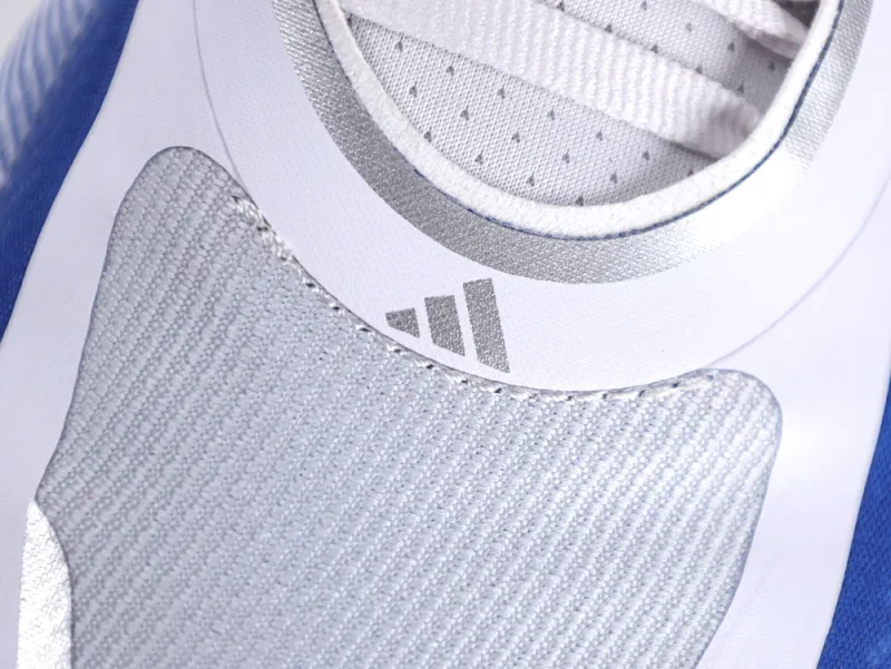 Mesh Details