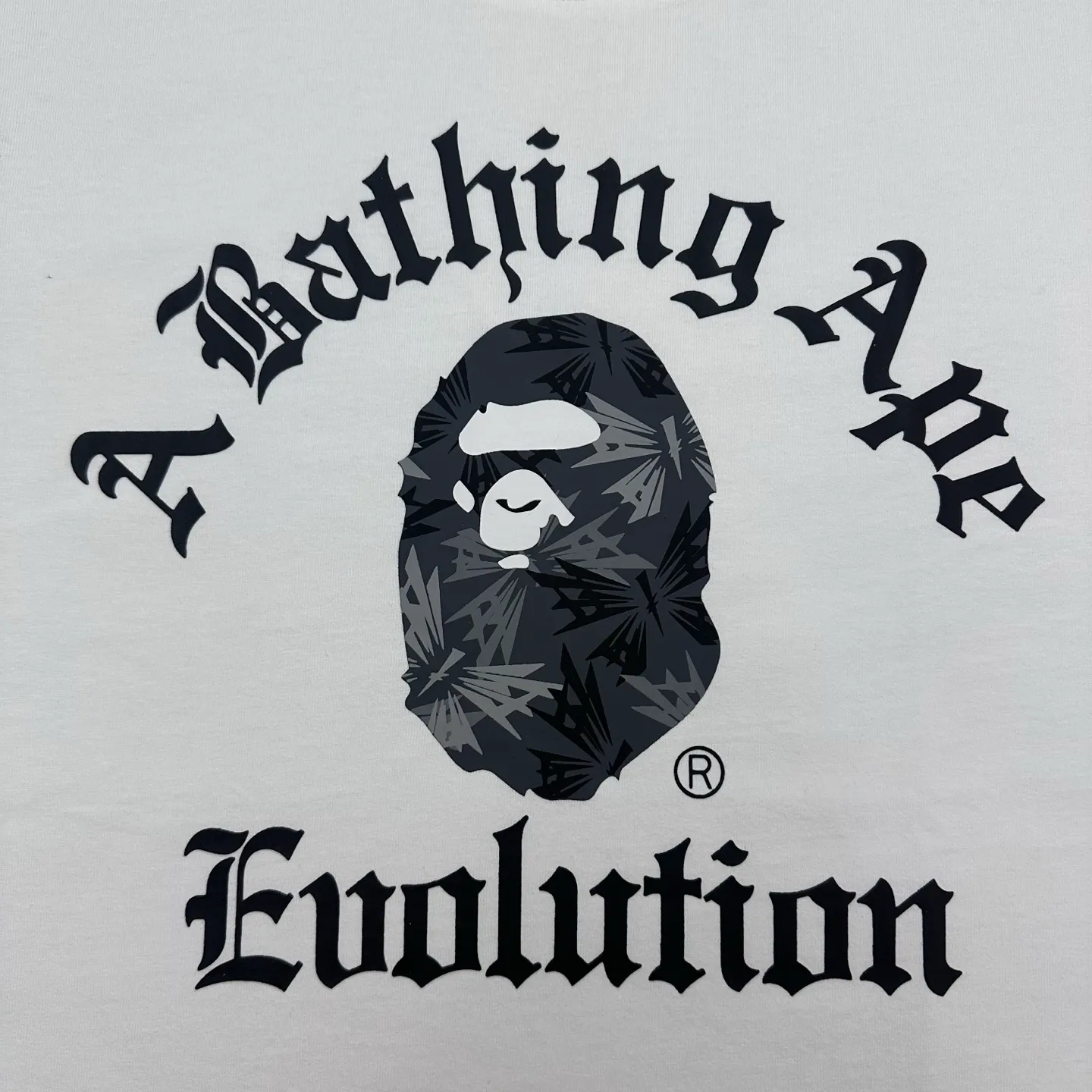 Logo Evolution