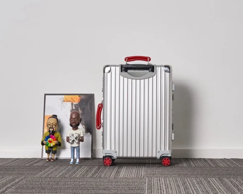 Suitcase Back View