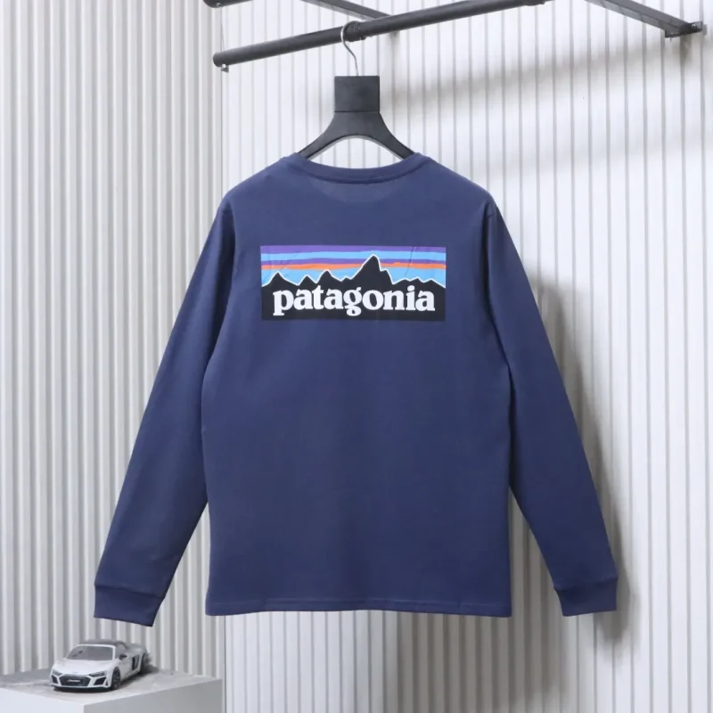 Back View PTG P-6 Logo Gray Long-Sleeve Shirt