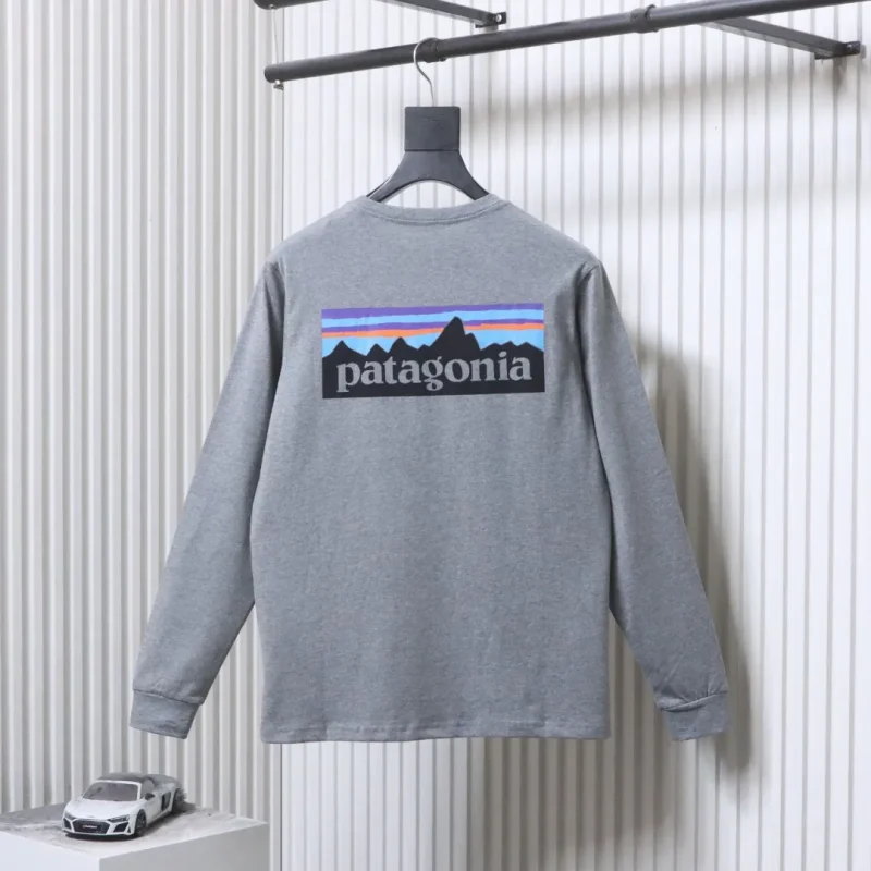 Back View PTG P-6 Logo Gray Long-Sleeve Shirt