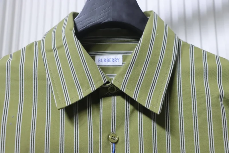 Collar Detail